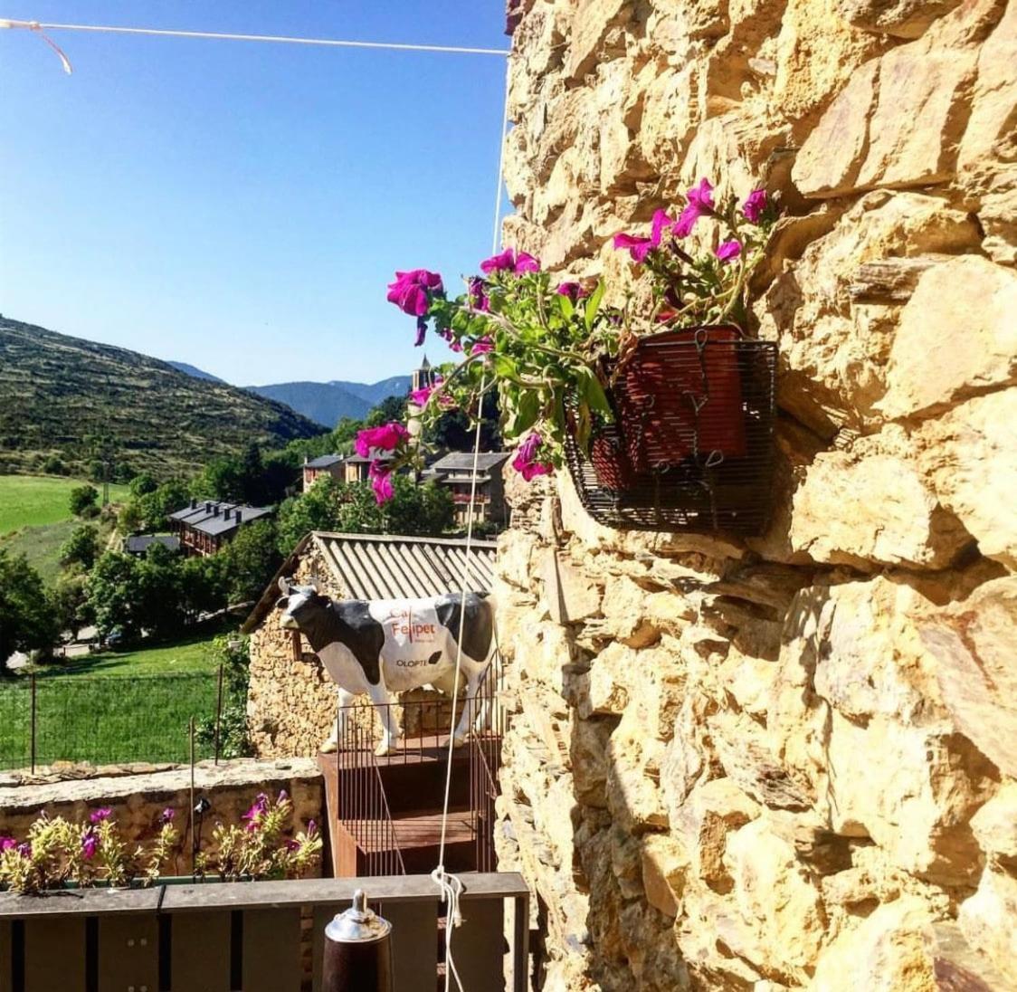 Preciosa Casa Rural Cal Felipet En Olopte-Cerdanya Zewnętrze zdjęcie